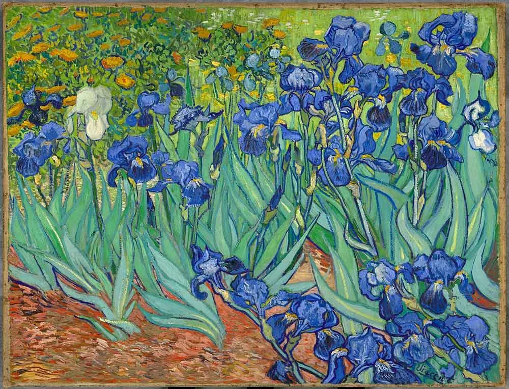 Lirios de Van Gogh.