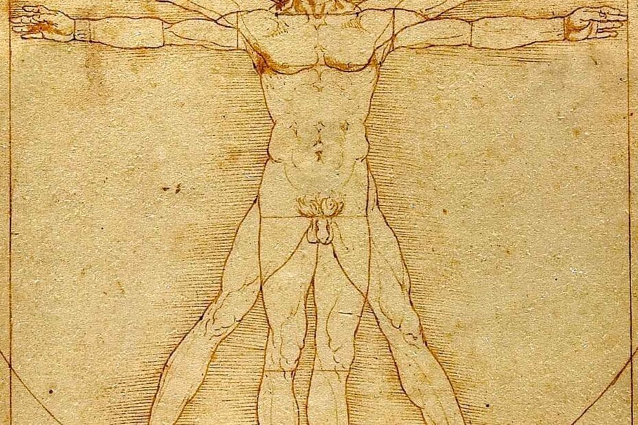 Que Faut Il Savoir Sur Le Tr s Notoire Peintre Leonardo Da Vinci IRMT