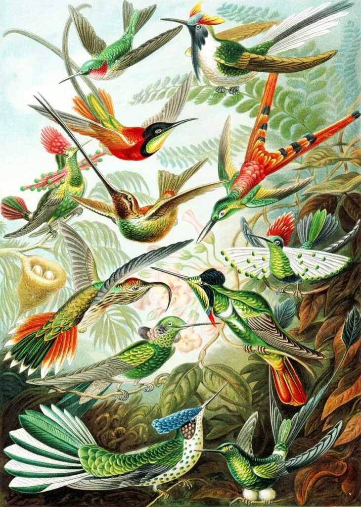 Los animales, especialmente las aves, eran muy características del Art Nouveau.